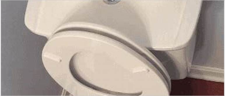 Gif of toilet flushing